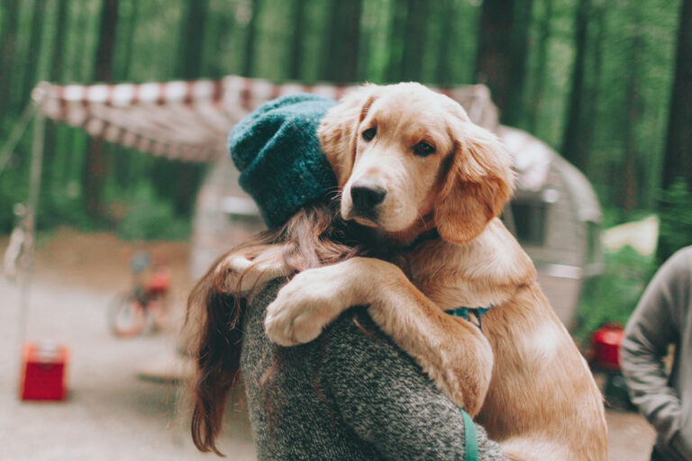 The top 10 trips of a lifetime yu should take